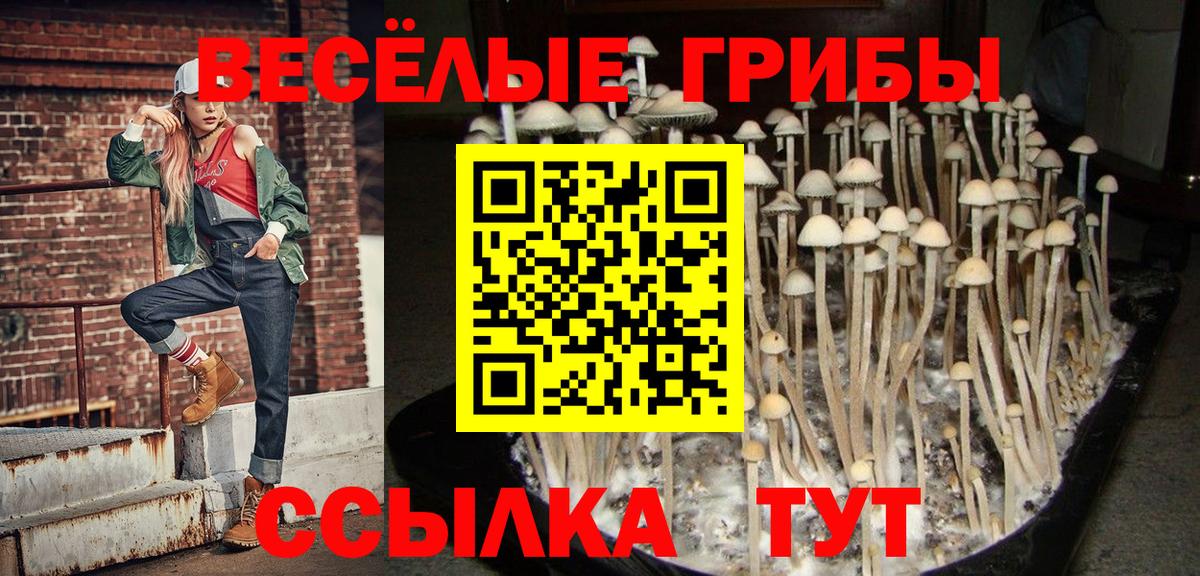 Галлюциногенные грибы мухоморы Елабуга