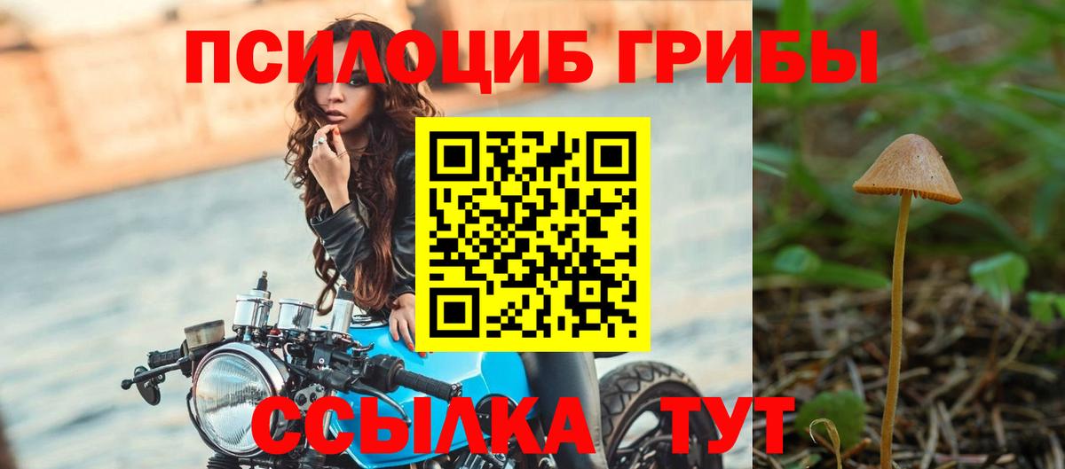 A PVP СК кристаллы  Кокаин  Елабуга  Меф  Экстази  Меф МЯУ МЯУ   НБОМе  ГАШ  Вход с VPN 