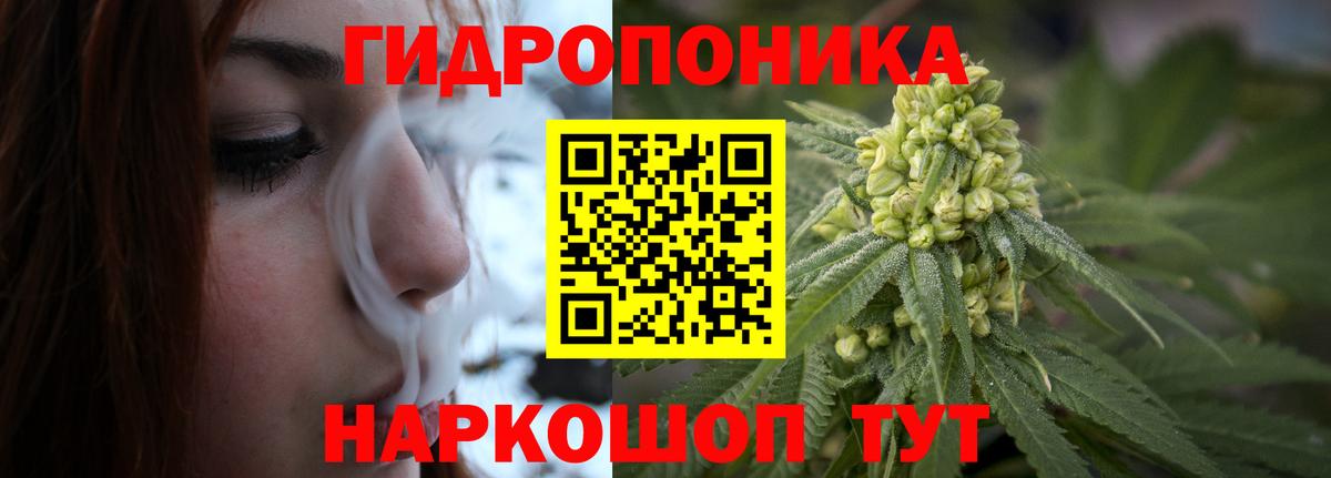 Шишки марихуана THC 21%  Вход с VPN  Елабуга  Каннабис сатива  Каннабис Amnesia  Бошки марихуана план 